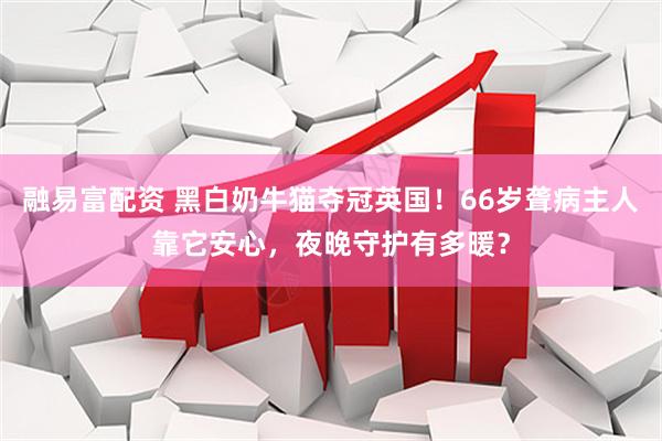 融易富配资 黑白奶牛猫夺冠英国！66岁聋病主人靠它安心，夜晚守护有多暖？