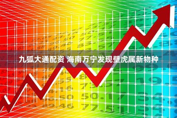 九狐大通配资 海南万宁发现壁虎属新物种