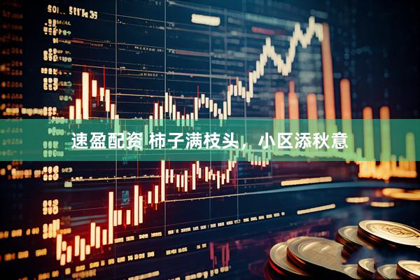 速盈配资 柿子满枝头，小区添秋意