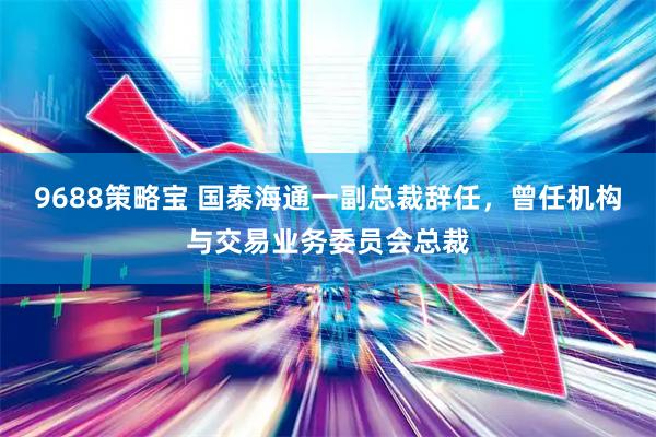 9688策略宝 国泰海通一副总裁辞任，曾任机构与交易业务委员会总裁