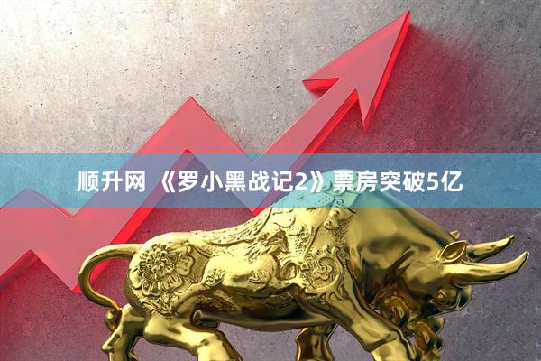 顺升网 《罗小黑战记2》票房突破5亿